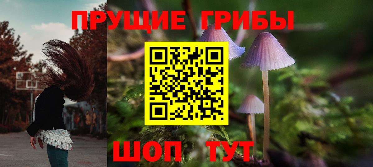 Галлюциногенные грибы мицелий  Вход с VPN  Вышний Волочёк 
